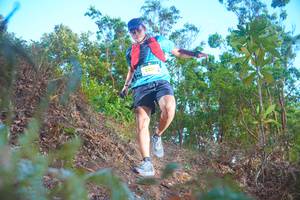 BIB: 22041
                            <button type="button" onclick="openModal(21831995)" class="btn btn-primary btn-sm float-right btn-popup" data-toggle="modal" data-target=".modal-high-quality">
                        <i class="fas fa-shopping-cart"></i> Add to Cart
                    </button>
                                            <button type="button" onclick="isThisMe(21831995, true)" class="btn btn-success btn-sm float-right btn-popup btn-isme hidden" data-toggle="tooltip" data-placement="bottom" title="นี่คือรูปของคุณใช่ไหม คลิกที่นี่เพื่อเอาเข้าอัลบั้ม">
                        <i class="fas fa-plus"></i> Add to album
                    </button>
                    <button type="button" onclick="isThisMe(21831995, false)" class="btn btn-warning btn-sm float-right btn-popup btn-isnotme hidden">
                        <i class="fas fa-ban"></i> Remove from album
                    </button>